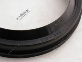 Seal 130x160x28