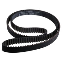 Belts - Straps